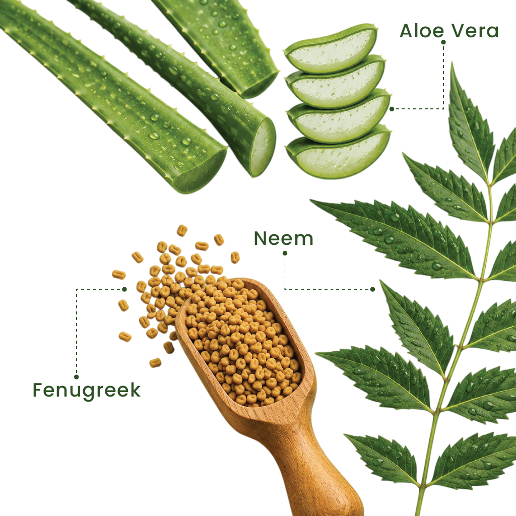 Aloe Vera Neem & Fenugreek Shampoo